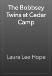 The Bobbsey Twins at Cedar Camp synopsis, comments