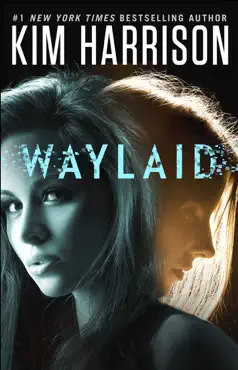 waylaid book cover image