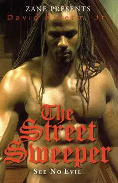 the street sweeper book cover image