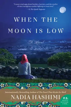 when the moon is low book cover image