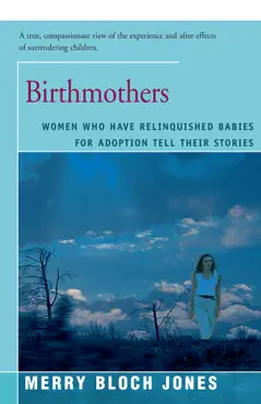 birthmothers book cover image