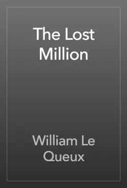 the lost million book cover image