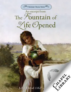 an excerpt from the fountain of life opened book cover image