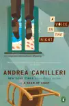 A Voice in the Night synopsis, comments