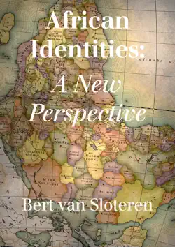 african identities: a new perspective book cover image
