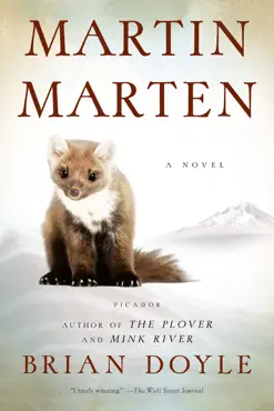 martin marten book cover image