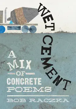 wet cement book cover image