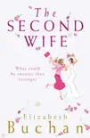 The Second Wife sinopsis y comentarios