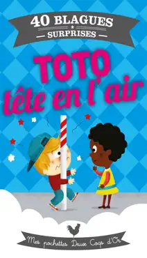 toto tête en l'air book cover image