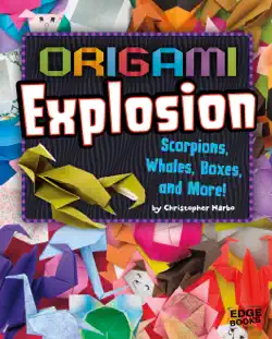 origami explosion book cover image