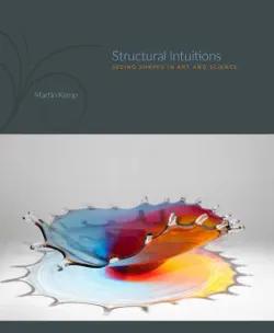 structural intuitions book cover image