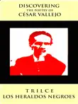 Discovering The Poetry of Cesar Vallejo synopsis, comments