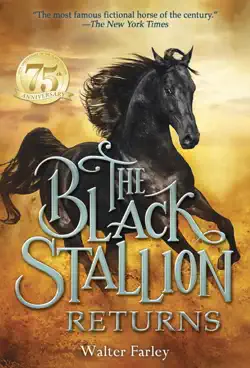 the black stallion returns book cover image