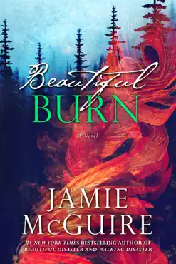 beautiful burn: a novel book cover image