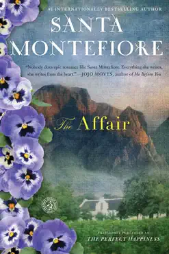 the affair book cover image