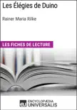 Les Élégies de Duino de Rainer Maria Rilke sinopsis y comentarios