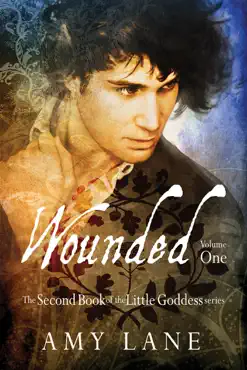wounded, vol. 1 book cover image