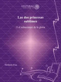 las dos princesas sublimes book cover image
