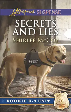 secrets and lies book cover image