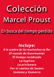 Colección Marcel Proust sinopsis y comentarios