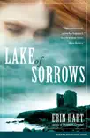Lake of Sorrows synopsis, comments