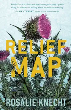 relief map book cover image
