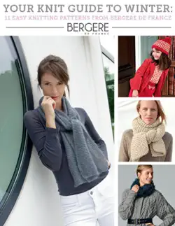 your knit guide to winter: 11 easy knitting patterns from bergere de france book cover image