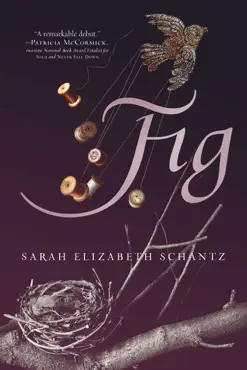 fig book cover image