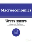 Macroeconomics synopsis, comments