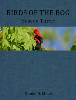 birds of the bog season three book cover image