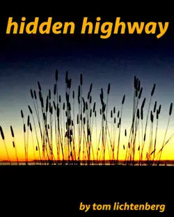 hidden highway book cover image
