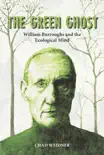 The Green Ghost synopsis, comments