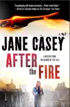 After the Fire synopsis, comments