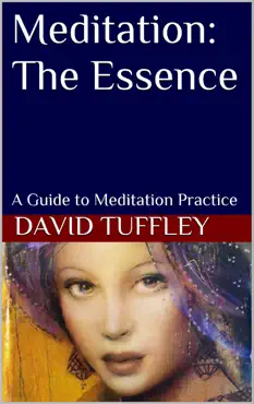 meditation: the essence book cover image
