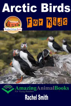 arctic birds for kids book cover image