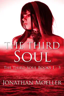 the third soul omnibus one book cover image