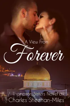 a view from forever book cover image