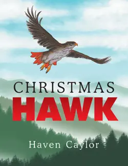 christmas hawk book cover image