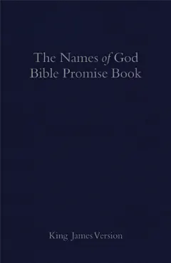 the kjv names of god bible promise book, blue imitation leather book cover image