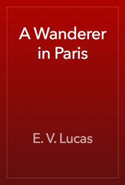 a wanderer in paris book cover image