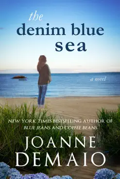 the denim blue sea book cover image