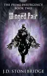 Winged Pair synopsis, comments