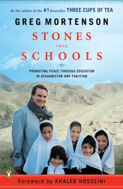 stones into schools book cover image