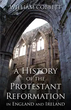 a history of the protestant reformation in england and ireland book cover image