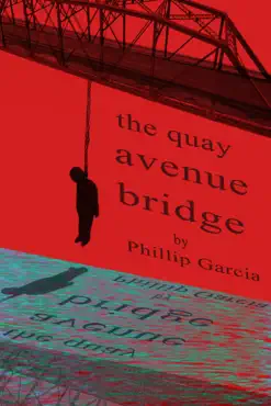 the quay avenue bridge book cover image