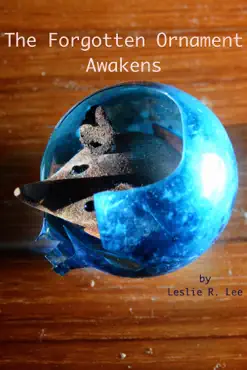 the forgotten ornament awakens book cover image
