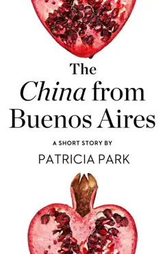 the china from buenos aires book cover image