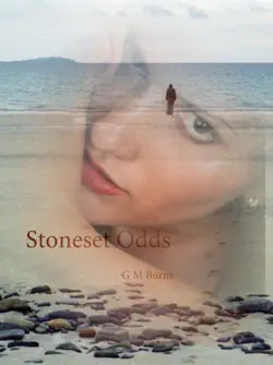 stoneset odds imagen de la portada del libro
