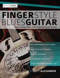 fingerstyle blues guitar book cover image