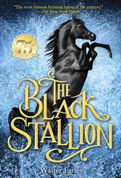 the black stallion book cover image